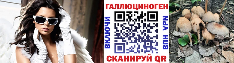 Псилоцибиновые грибы Cubensis  купить   Кедровый 